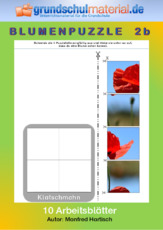 Blumenpuzzle_2b.pdf